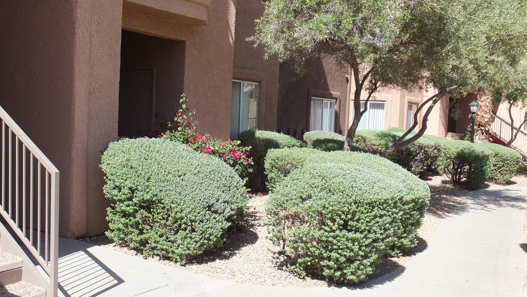 5400 East Williams Blvd #14103 By Relax Accommodations Tucson Exterior photo